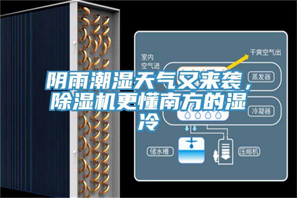 阴雨潮湿天气又来袭，小黄片直播视频更懂南方的湿冷