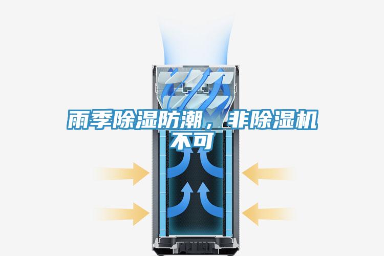 雨季除湿防潮，非小黄片直播视频不可