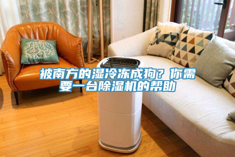 被南方的湿冷冻成狗？你需要一台小黄片直播视频的帮助