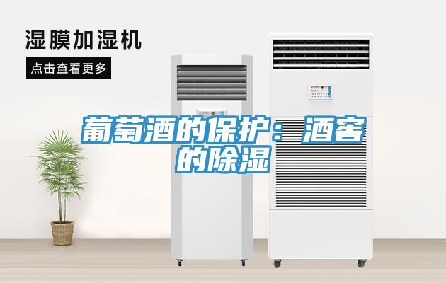 葡萄酒的保护：酒窖的除湿