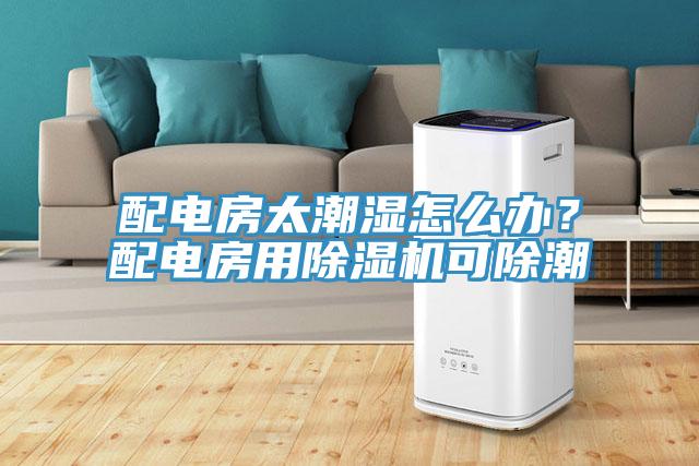 配电房太潮湿怎么办？配电房用小黄片直播视频可除潮
