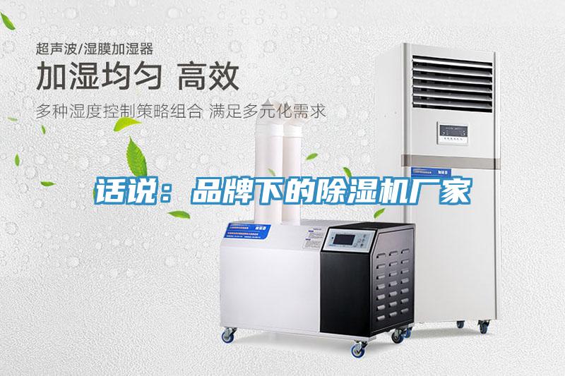 话说：品牌下的小黄片直播视频厂家
