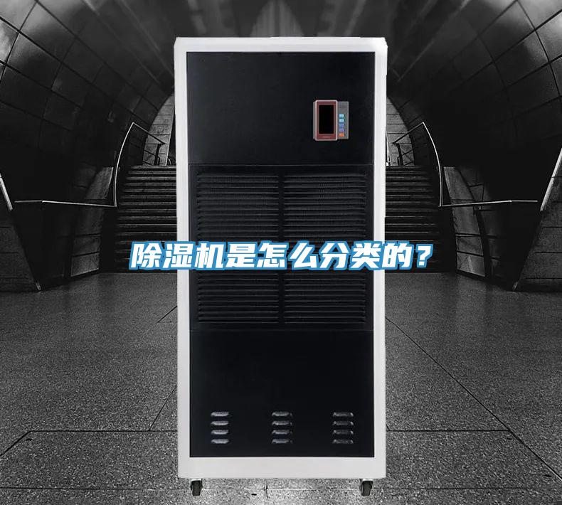 小黄片直播视频是怎么分类的？