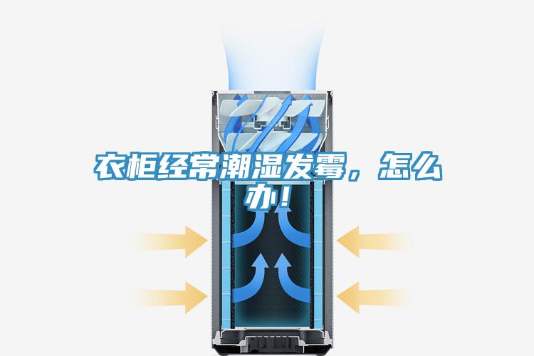 衣柜经常潮湿发霉，怎么办！