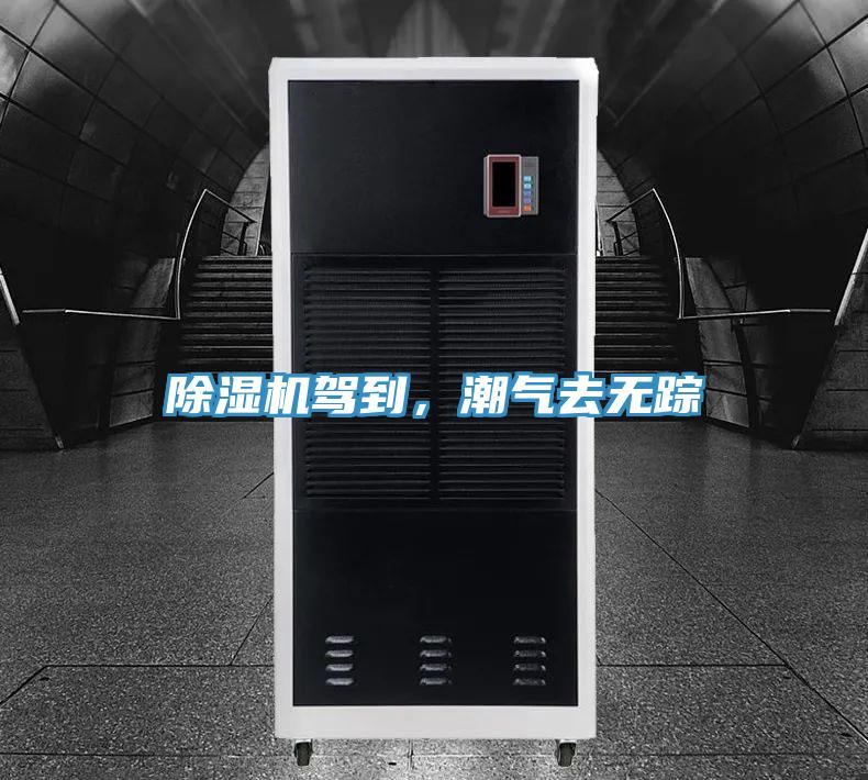 小黄片直播视频驾到，潮气去无踪
