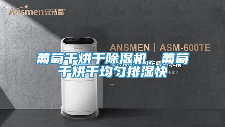 葡萄干烘干小黄片直播视频，葡萄干烘干均匀排湿快