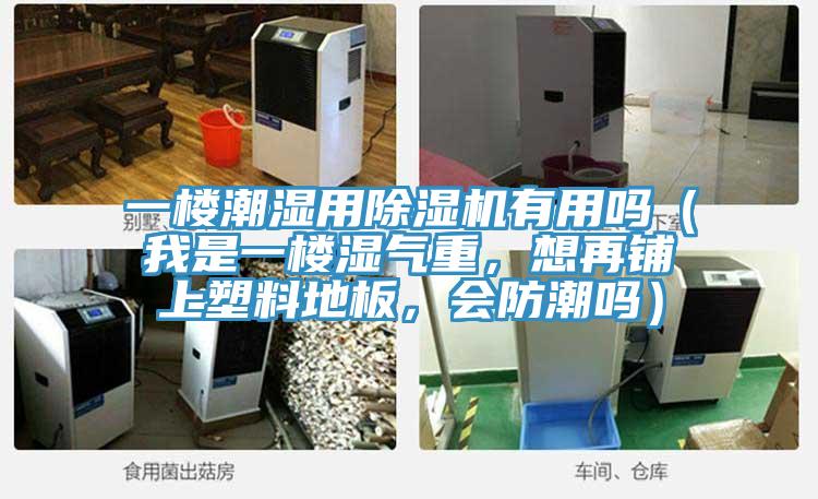 一楼潮湿用小黄片直播视频有用吗（我是一楼湿气重，想再铺上塑料地板，会防潮吗）