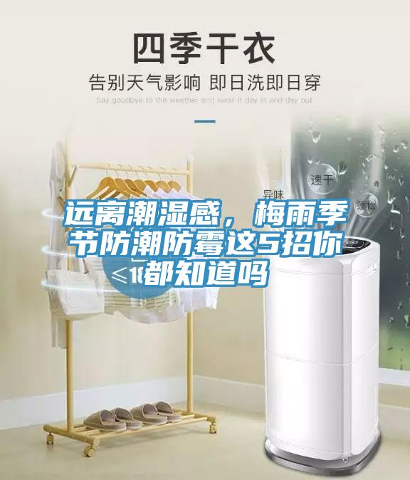 远离潮湿感，梅雨季节防潮防霉这5招你都知道吗