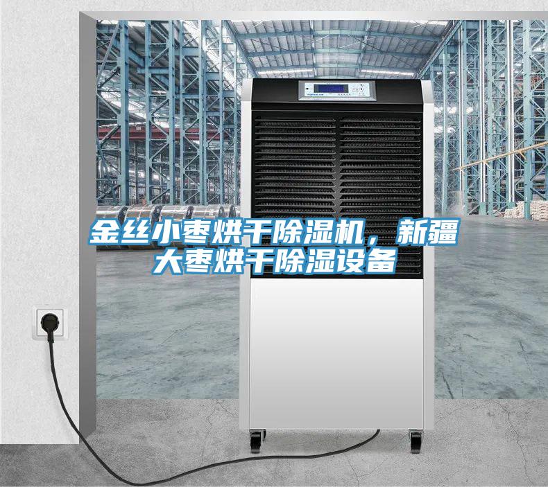 金丝小枣烘干小黄片直播视频，新疆大枣烘干除湿设备