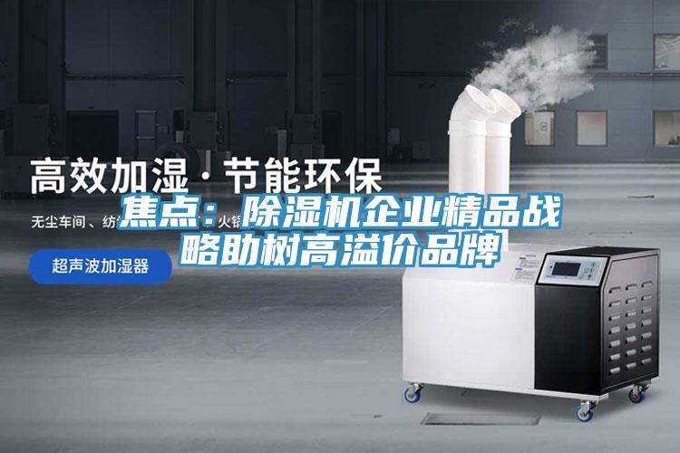 焦点：小黄片直播视频企业精品战略助树高溢价品牌