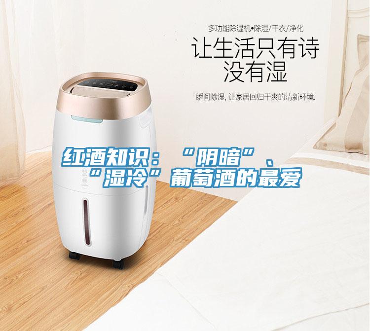 红酒知识：“阴暗”、“湿冷”葡萄酒的最爱