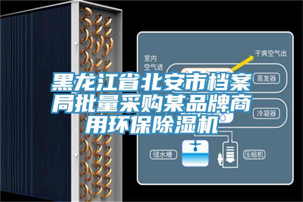 黑龙江省北安市档案局批量采购某品牌商用环保小黄片直播视频