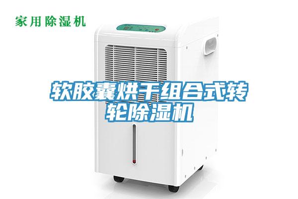 软胶囊烘干组合式转轮小黄片直播视频