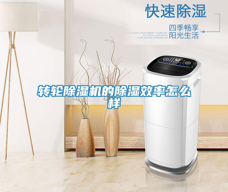 转轮小黄片直播视频的除湿效率怎么样