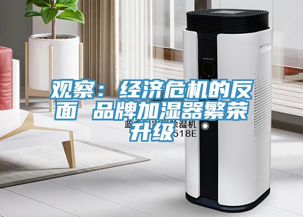 观察：经济危机的反面 品牌加湿器繁荣升级