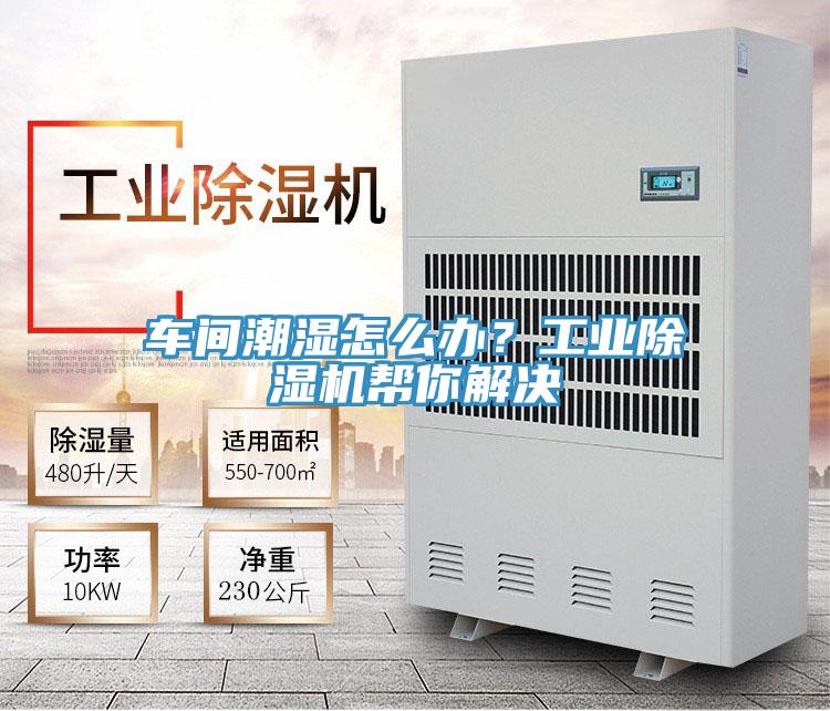 车间潮湿怎么办？工业小黄片直播视频帮你解决