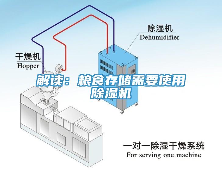 解读：粮食存储需要使用小黄片直播视频
