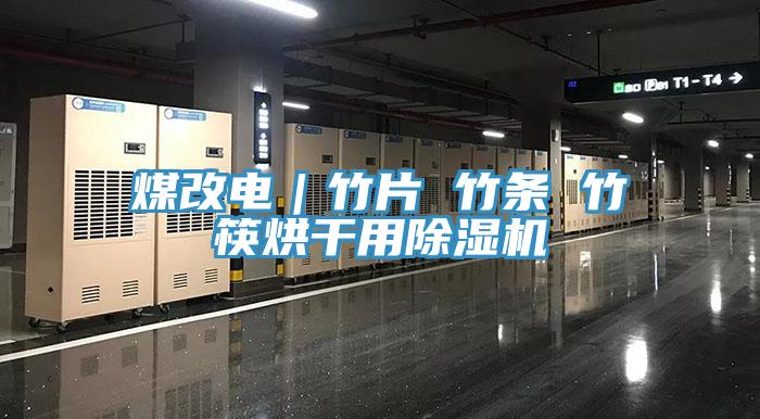 煤改电｜竹片 竹条 竹筷烘干用小黄片直播视频