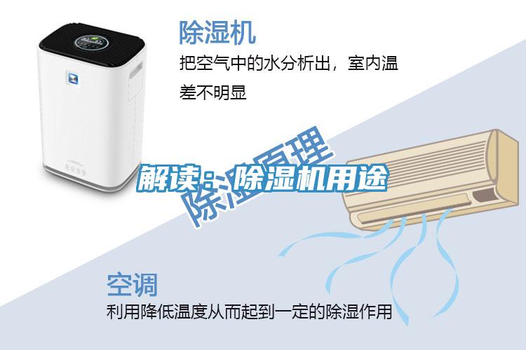 解读：小黄片直播视频用途