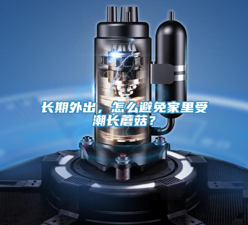 长期外出，怎么避免家里受潮长蘑菇？