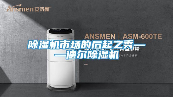 小黄片直播视频市场的后起之秀——德尔小黄片直播视频