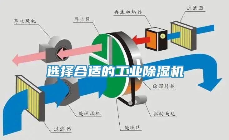 选择合适的工业小黄片直播视频