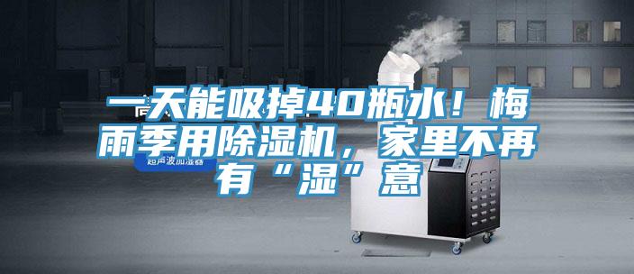 一天能吸掉40瓶水！梅雨季用小黄片直播视频，家里不再有“湿”意
