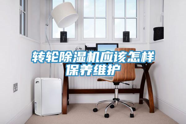 转轮小黄片直播视频应该怎样保养维护