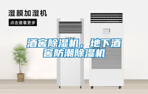 酒窖小黄片直播视频，地下酒窖防潮小黄片直播视频