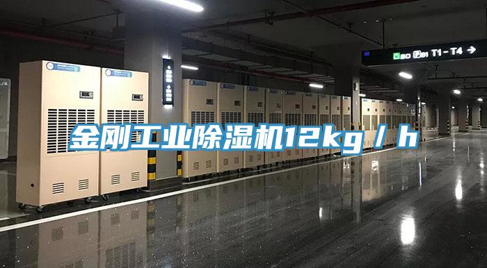 金刚工业小黄片直播视频12kg／h