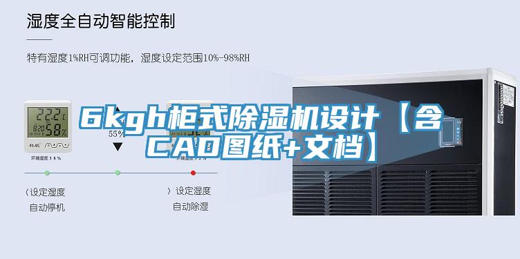 6kgh柜式小黄片直播视频设计【含CAD图纸+文档】