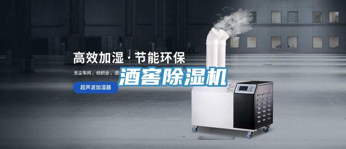 酒窖小黄片直播视频
