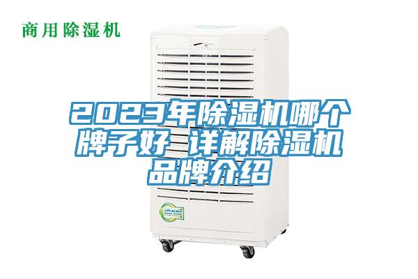2023年小黄片直播视频哪个牌子好 详解小黄片直播视频品牌介绍