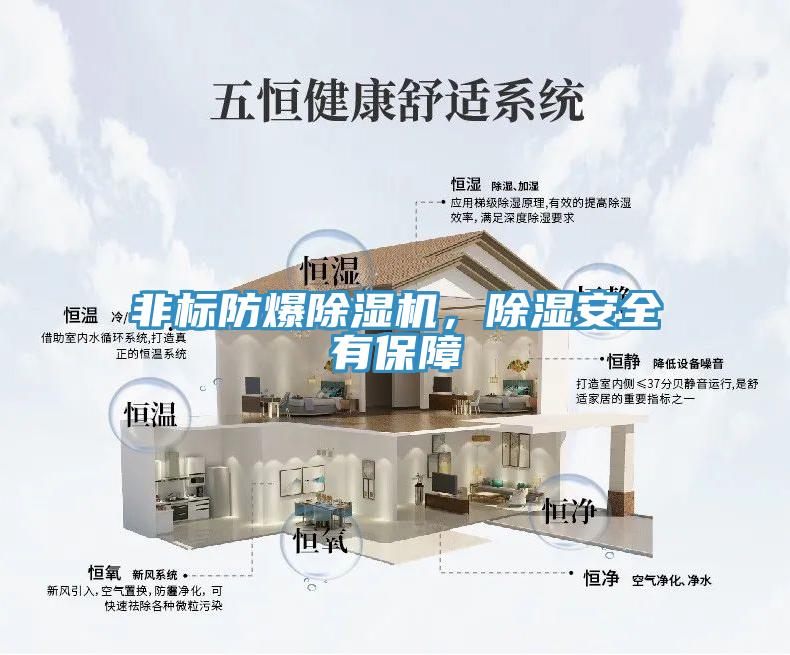 非标防爆小黄片直播视频，除湿安全有保障