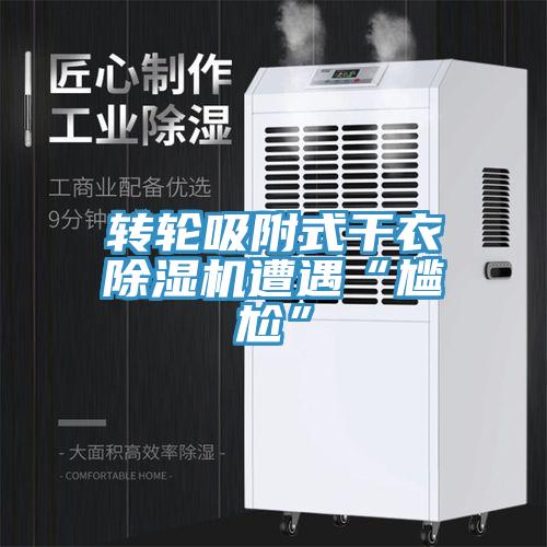 转轮吸附式干衣小黄片直播视频遭遇“尴尬”