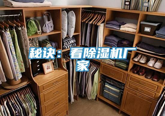 秘诀：看小黄片直播视频厂家