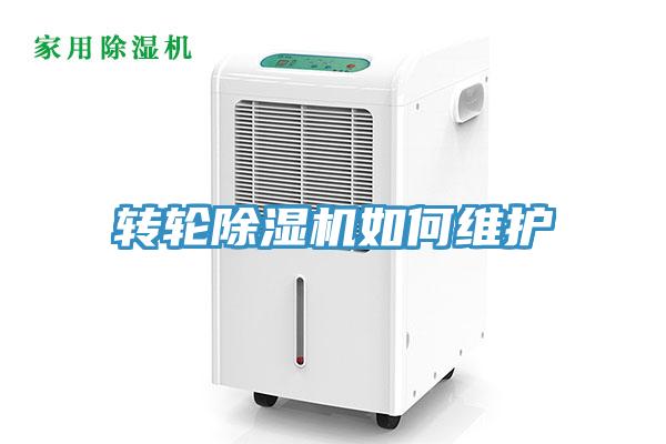 转轮小黄片直播视频如何维护