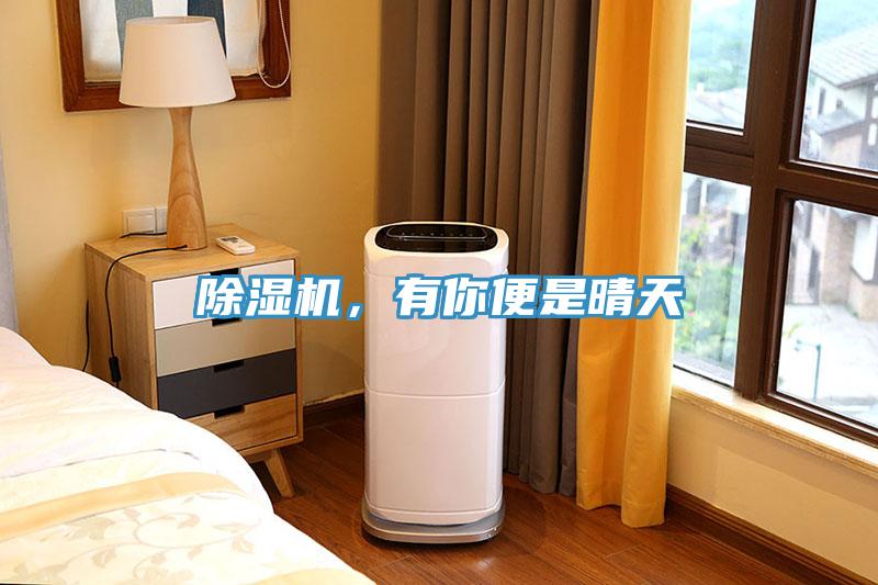 小黄片直播视频，有你便是晴天