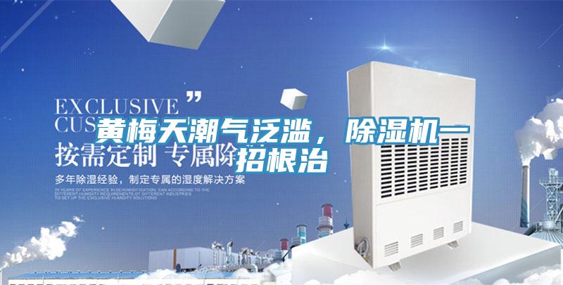 黄梅天潮气泛滥，小黄片直播视频一招根治