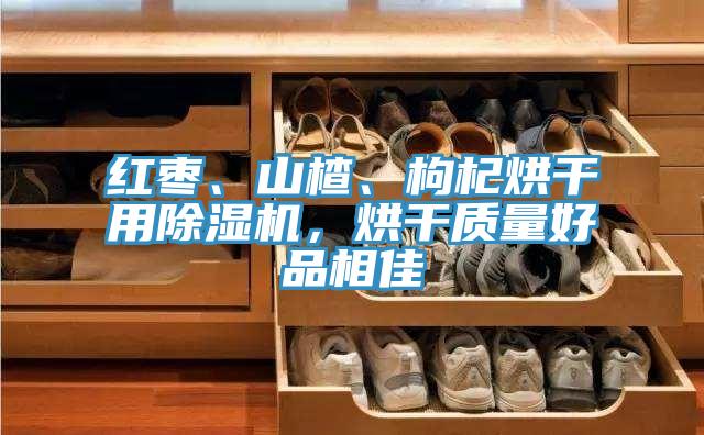 红枣、山楂、枸杞烘干用小黄片直播视频，烘干质量好品相佳