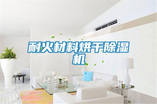 耐火材料烘干小黄片直播视频
