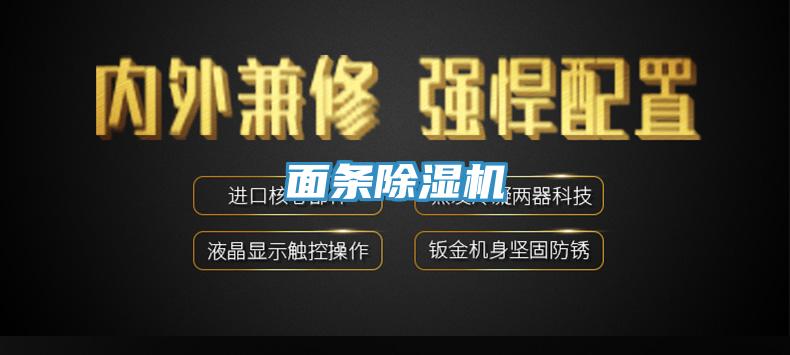 面条小黄片直播视频