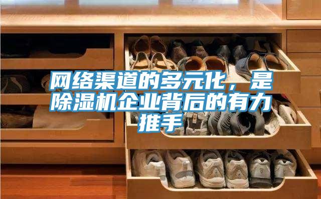 网络渠道的多元化，是小黄片直播视频企业背后的有力推手
