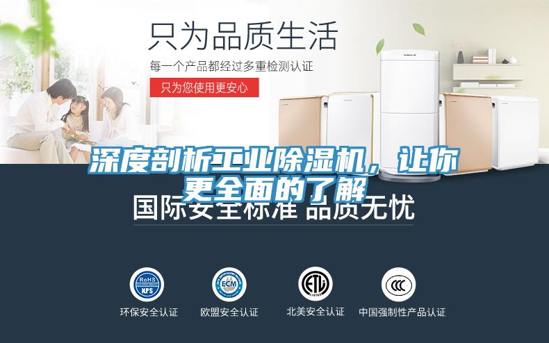 深度剖析工业小黄片直播视频，让你更全面的了解
