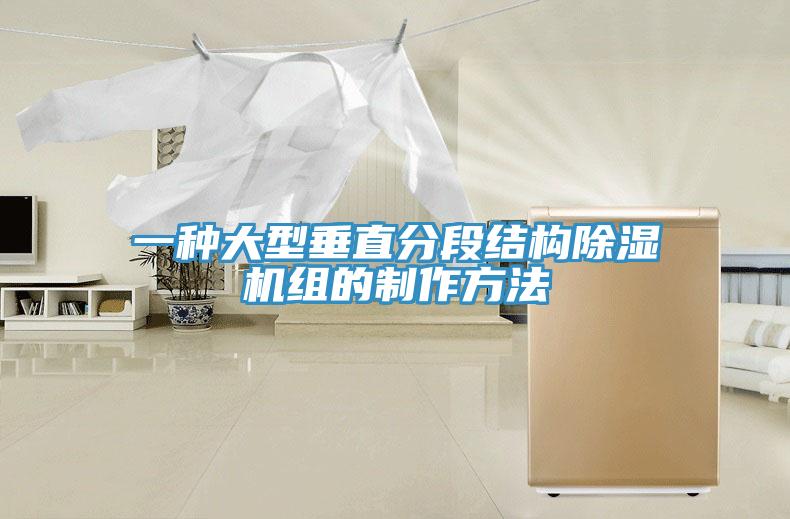 一种大型垂直分段结构小黄片直播视频组的制作方法
