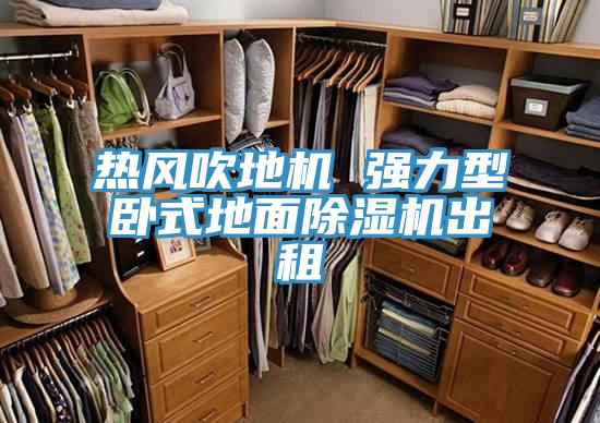 热风吹地机 强力型卧式地面小黄片直播视频出租