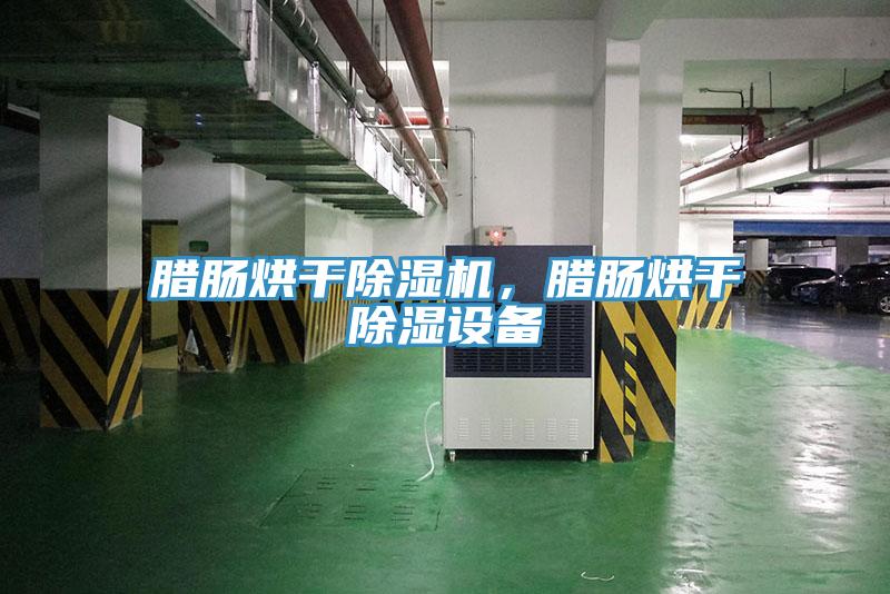 腊肠烘干小黄片直播视频，腊肠烘干除湿设备