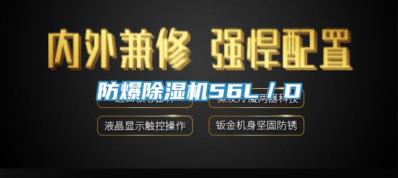防爆小黄片直播视频56L／D