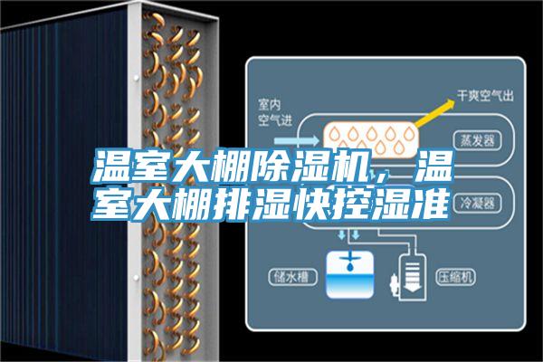 温室大棚小黄片直播视频，温室大棚排湿快控湿准