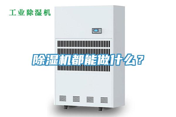 小黄片直播视频都能做什么？